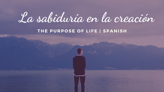 The Purpose of Life | Spanish